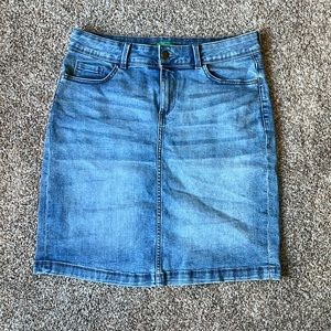 dip Denim Skirt
